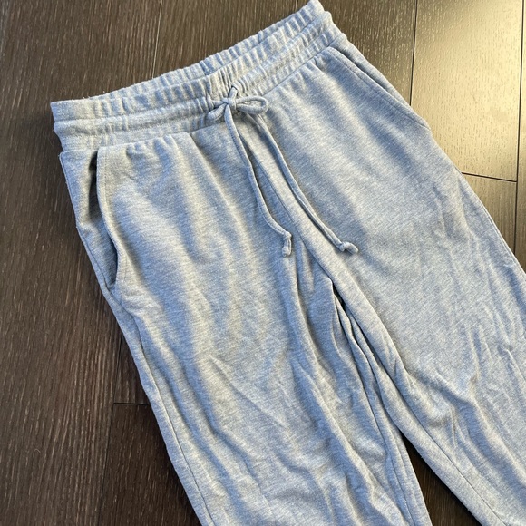 Aritzia Wilfred Free Heathered Dune Blue Yael Jogger - Picture 4 of 11